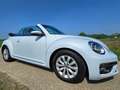Volkswagen Beetle The Beetle The Cabriolet 1.4 TSI DSG (BlueMotion T Weiß - thumbnail 9