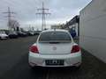 Volkswagen Beetle The Beetle 1.2 TSI BlueMotion Technologie CUP Weiß - thumbnail 6
