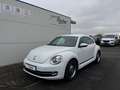 Volkswagen Beetle The Beetle 1.2 TSI BlueMotion Technologie CUP Weiß - thumbnail 1