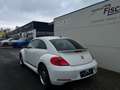 Volkswagen Beetle The Beetle 1.2 TSI BlueMotion Technologie CUP Weiß - thumbnail 7