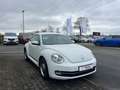 Volkswagen Beetle The Beetle 1.2 TSI BlueMotion Technologie CUP Weiß - thumbnail 4
