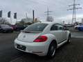 Volkswagen Beetle The Beetle 1.2 TSI BlueMotion Technologie CUP Weiß - thumbnail 5