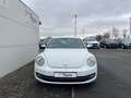 Volkswagen Beetle The Beetle 1.2 TSI BlueMotion Technologie CUP Weiß - thumbnail 3