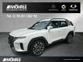 KGM Torres Torres 1.5 P 4WD Sondermodell NOMAD Navi Kamera Серебристый - thumbnail 2