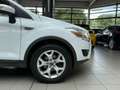 Ford Kuga 2.0TDCI *AUTOMATIK* Champions Edition *AHK* Weiß - thumbnail 4