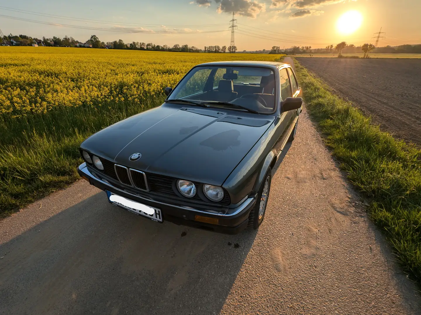 BMW 318 318i Gris - 2