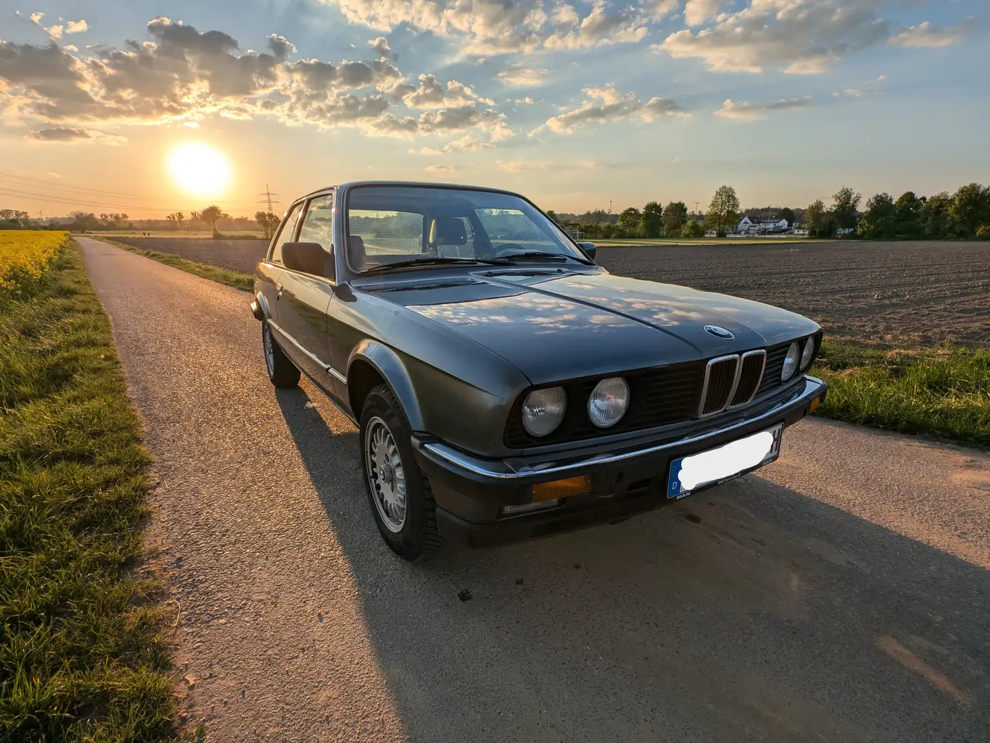 BMW 318 318i Gris - 1