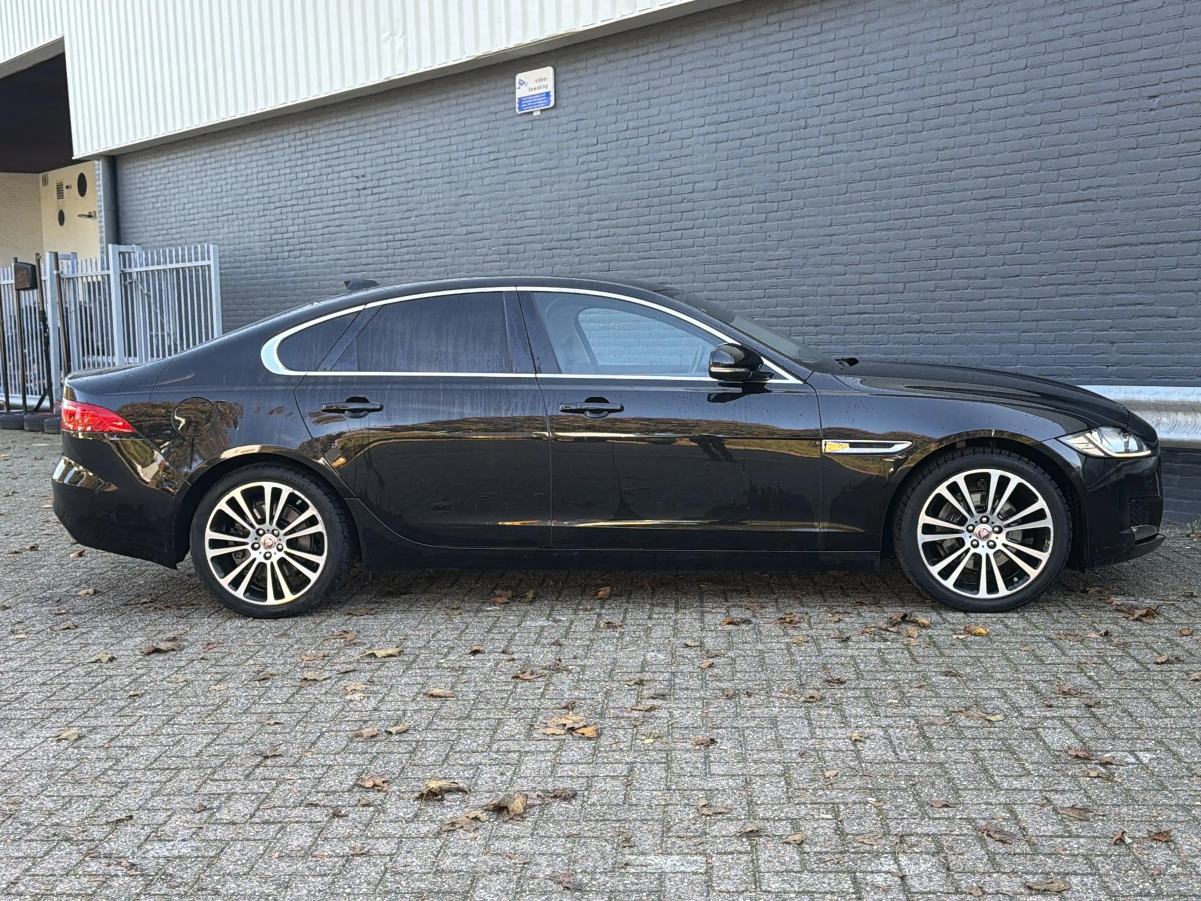 Jaguar XF 2.0d Portfolio | Memory Seat | Leder | Cruise | Cl — photo 7