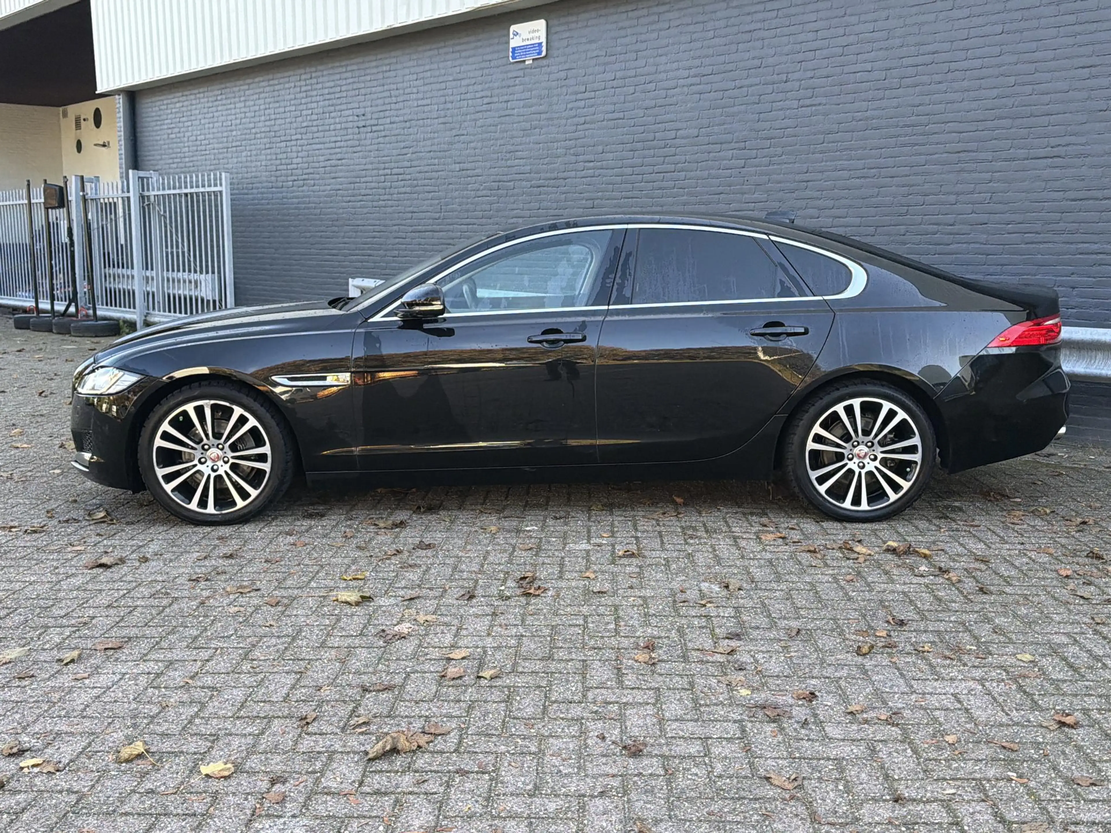 Jaguar XF 2.0d Portfolio | Memory Seat | Leder | Cruise | Cl — photo 8
