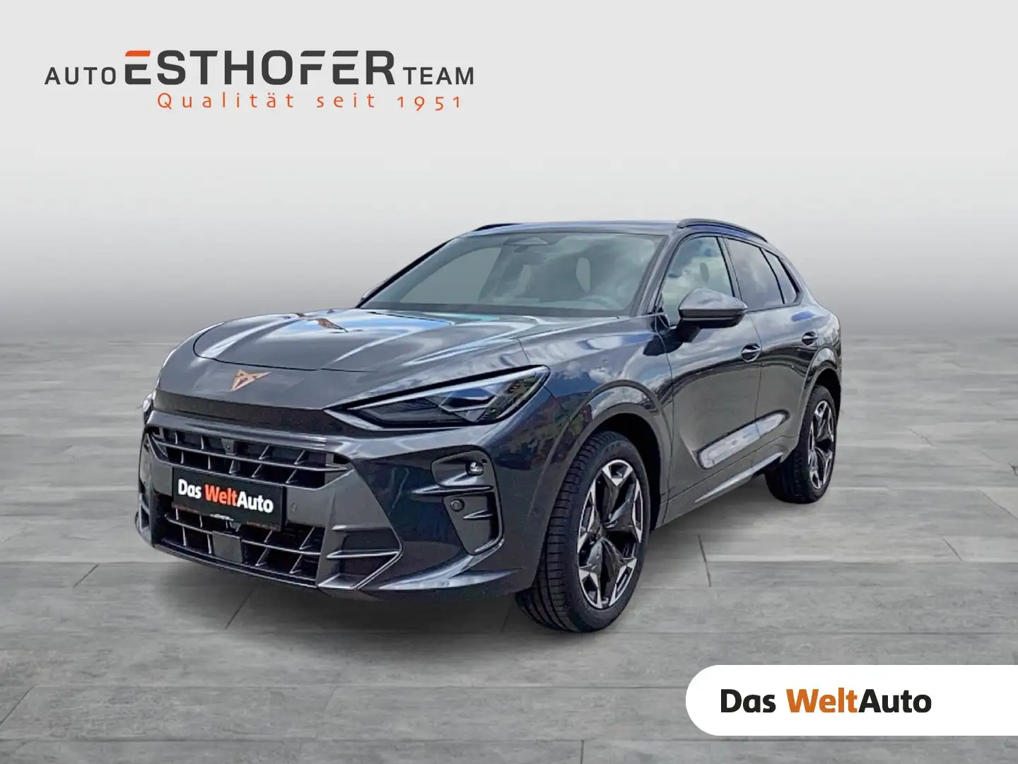 CUPRA Terramar 1.5 e-TSI 150 PS DSG Grau - 1