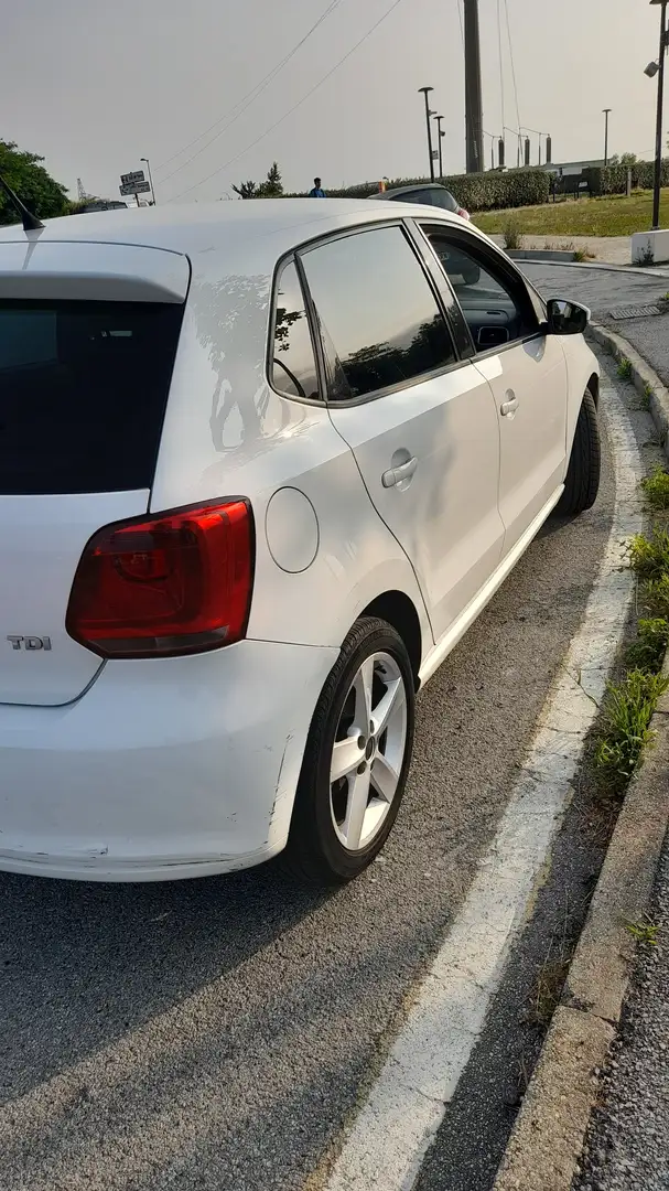 Volkswagen Polo Polo 5p 1.6 tdi Highline 90cv Bianco - 2