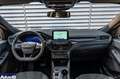 Ford Kuga Kuga 2.5 phev ST-Line X 2wd 225cv e-shifter Blau - thumbnail 4