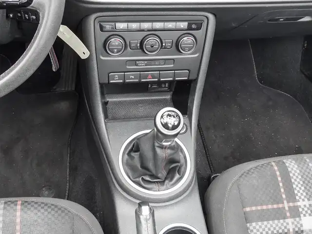 Volkswagen Beetle view 9