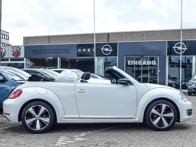 Volkswagen Beetle view 15