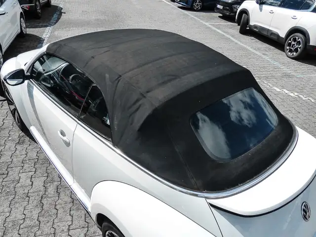 Volkswagen Beetle view 14
