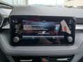 Skoda Fabia Selection Grau - thumbnail 14