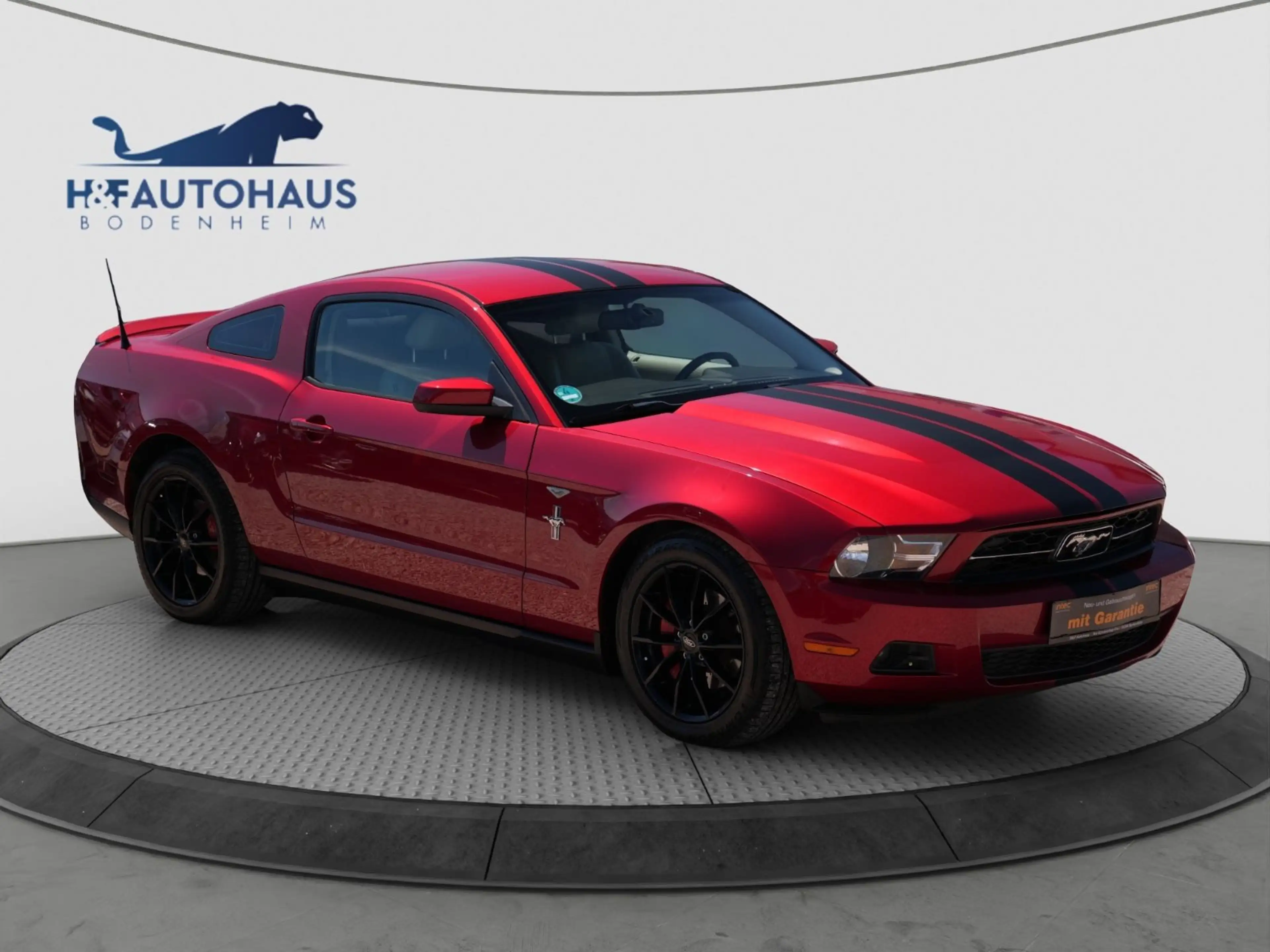 Ford Mustang Coupe/Automatik/TÜV NEU/BLUETOOTH — photo 3