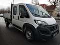 Fiat Ducato 140 Doka L3H1 Heavy Maxi 3-Seiten-Kipper Weiß - thumbnail 4