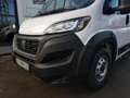 Fiat Ducato 140 Doka L3H1 Heavy Maxi 3-Seiten-Kipper Weiß - thumbnail 3