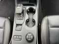 Ford Ranger 3.0 Ecoblue Wildtrak 4WD Doppelkabine AHK Grau - thumbnail 21