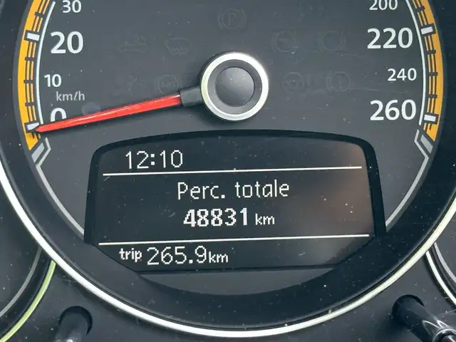 Volkswagen Beetle view 12