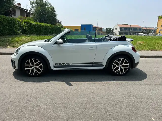 Volkswagen Beetle view 15