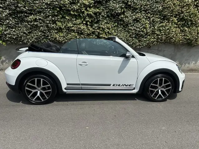 Volkswagen Beetle view 7