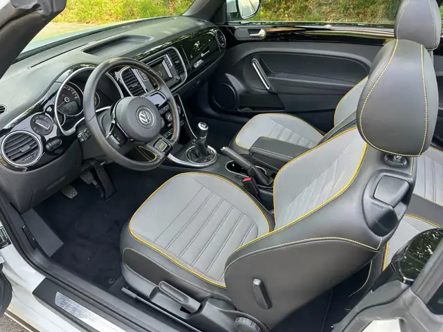 Volkswagen Beetle view 9