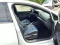 Volkswagen Golf VIII R 4M DSG Navi LED Pano HUD Weiß - thumbnail 13