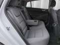 Hyundai IONIQ Elektro*LED ACC Navi R-Kam Infinity Keyles Beyaz - thumbnail 9