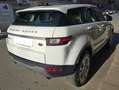 Land Rover Range Rover Evoque 2.0 TD4 150 cv Autocarro 5 posti Bianco - thumbnail 5