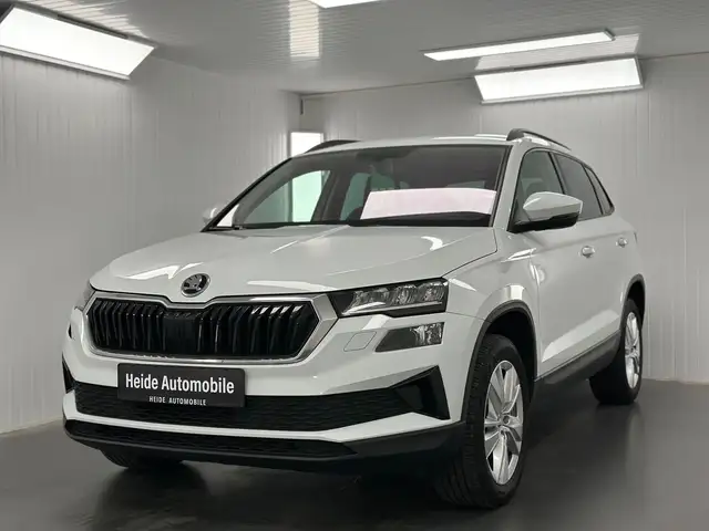 Skoda Karoq 2.0 TDI Ambition (EURO 6d)