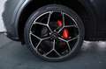 Audi Q5 50 TFSI e PHEV quattro S LINE SPORT HUD TOP Grau - thumbnail 14