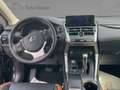 Lexus NX 300 h Executive Line LED, Navigation , Gris - thumbnail 10