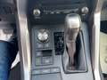 Lexus NX 300 h Executive Line LED, Navigation , Gris - thumbnail 15