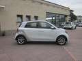 smart forFour 70 1.0 Passion Tetto Panoramico (ok neopatenati) Bianco - thumbnail 4