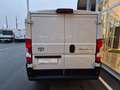 Toyota Proace Max ProMax D120PS Kawa Work L2H1 33 MT Weiß - thumbnail 4
