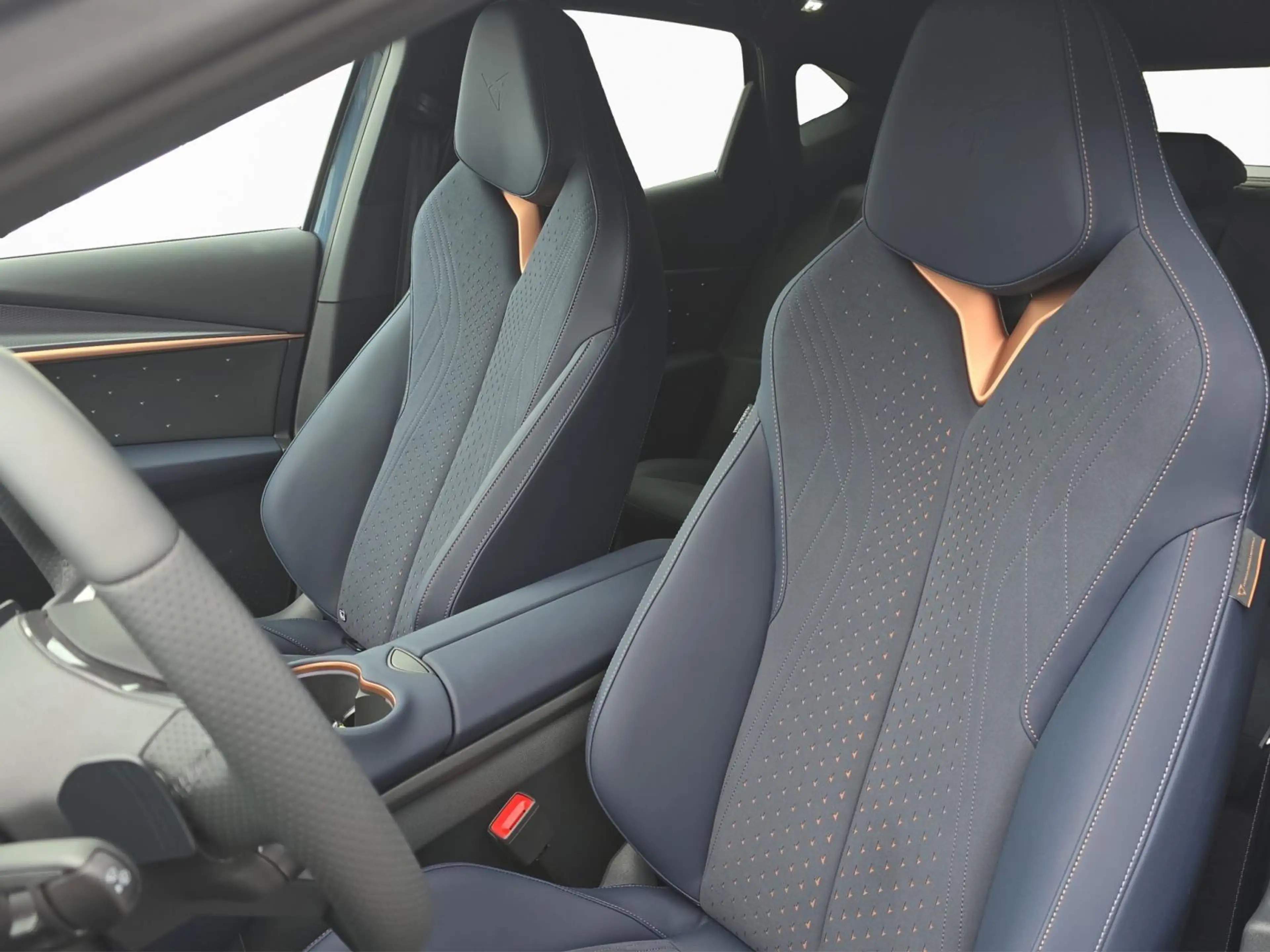 CUPRA Tavascan Endurance — photo 9