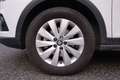 SEAT Arona Arona 1.0 ecotsi Style 95cv Bianco - thumbnail 5