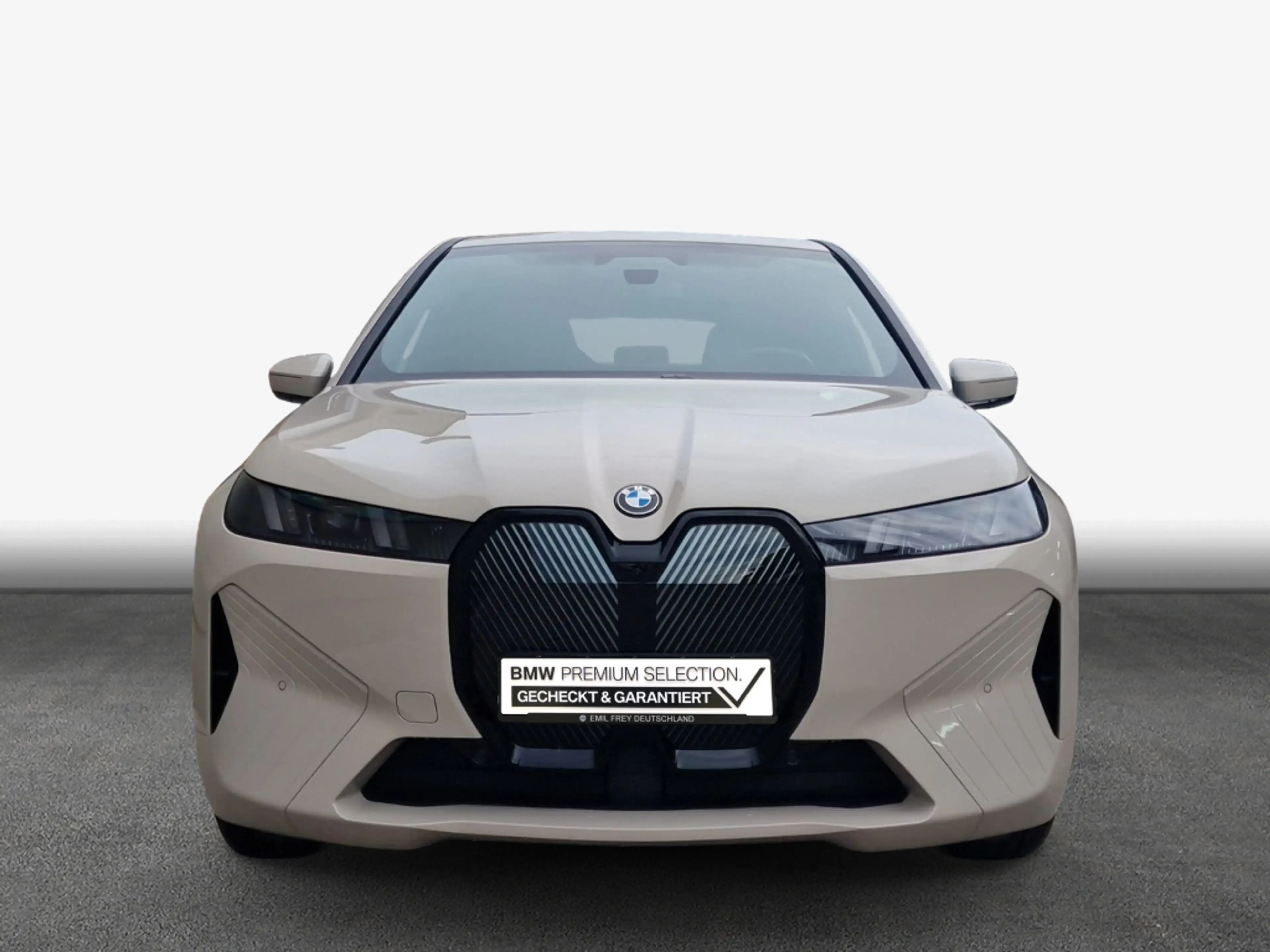 BMW iX xDrive45 AHK LED H&K NAV — photo 5