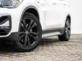 BMW X1 xDrive25e xLine AHK NaviPlus HuD AdLED PANO Blanc - thumbnail 5