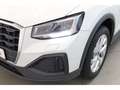Audi Q2 30 TFSI NAV/RFK/SH/GRA/ele.Heckkl. Beyaz - thumbnail 7