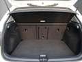 Volkswagen Golf VIII 1.5 TSI Style Navi/Matrix/Pano Weiß - thumbnail 6