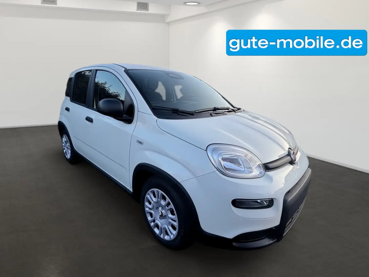 Fiat Panda Pandina Hybrid MY25 70PS Weiß - 2