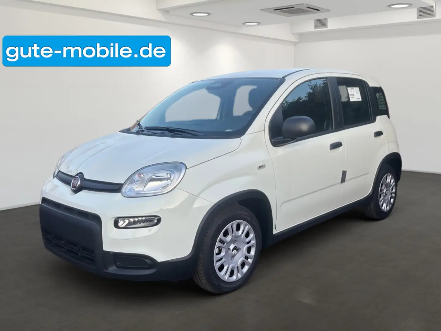 Fiat Panda Pandina Hybrid MY25 70PS Weiß - 1