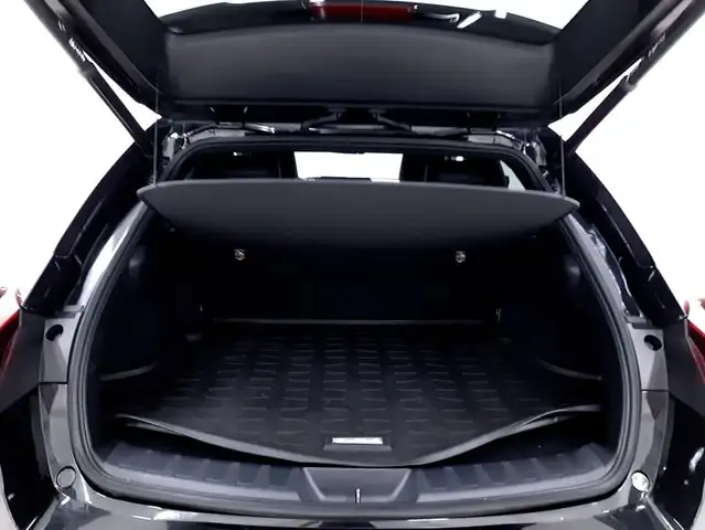 Lexus Ux view 14