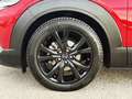 Mazda CX-30 2.0 e-Skyactiv-X Homura FWD 137kW Rojo - thumbnail 13