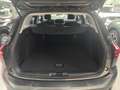 Ford Focus Turnier Titanium 1.0 EcoBoost Sitzheizung Grau - thumbnail 14