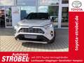 Toyota RAV 4 2.5 4x2 Hybrid Style Selection - thumbnail 1