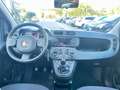 Fiat Panda Panda 1.0 FireFly S&S Hybrid Arancione - thumbnail 14